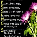 queenofklonnie22 avatar