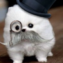 queenofluck12 avatar