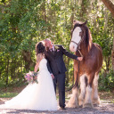 queenofmysellf avatar