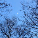 queenofpoisons avatar