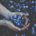 queenofsassgard avatar