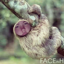 queenofsloths avatar