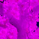 queenofthekill avatar