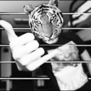 queenpottorff avatar