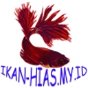 queensarcasrn avatar