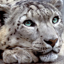 queensassy156 avatar