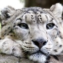 queensassy1567 avatar