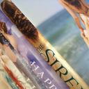 queenschreavelovestarts avatar