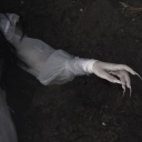 queenxdissaster avatar