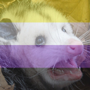 queer-andabitch-blog avatar