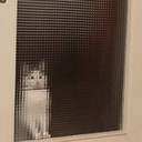 queer-by-day-queer-by-night avatar