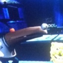 queer-cultist avatar