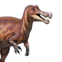 queer-irritator avatar