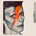 queer-little-fern avatar