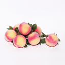 queer-peaches avatar