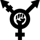 queer-political-nerd avatar