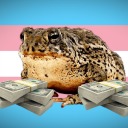queer-toad-moved avatar