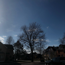 queerandconscious avatar