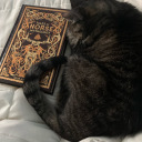 queerandtired avatar