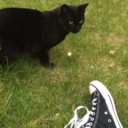 queercloudkid avatar