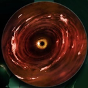 queerfarmgremlin avatar