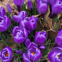 queerfeministretellings avatar