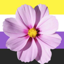 queerflagswithbenton avatar