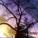 queering-the-binary avatar