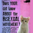 queerjaneapprox avatar