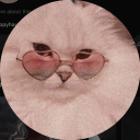 queerofpendragons avatar