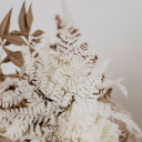 queerofwonder avatar