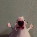 queerpal avatar