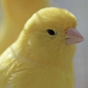 queershadeofblue avatar