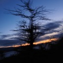 queersolarpunk avatar