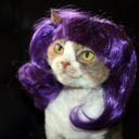 queerying-blog-blog avatar