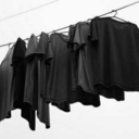 quella-societa-di-merda avatar