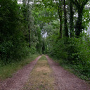 quelragazzosolo avatar