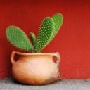 quenchiestcactusjuice99 avatar