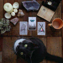 querida-echizera-blog avatar