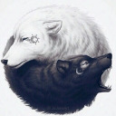 ques-tiona-ble avatar