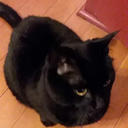 quesadilladestroyer avatar