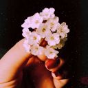 queseaunaprimaveralluviosa avatar