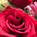 questionableintentions avatar