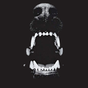 qui-te-classy avatar