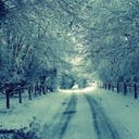 quicklikerain avatar