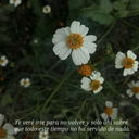 quierooescribir avatar