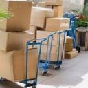 quieroseranimalestanoche avatar