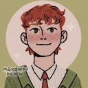 quietintellectualginger avatar