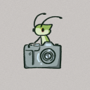 quilbug-cam avatar