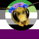 quill-of-thoth avatar